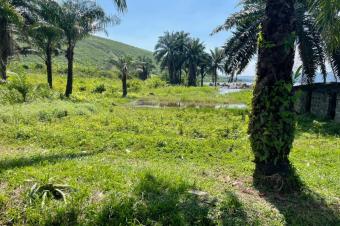 4 HECTARES AU BORD DU FLEUVE EN FACE DE BRAZZAVILLE MALUKU